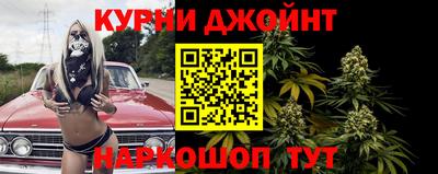 шишки Донской