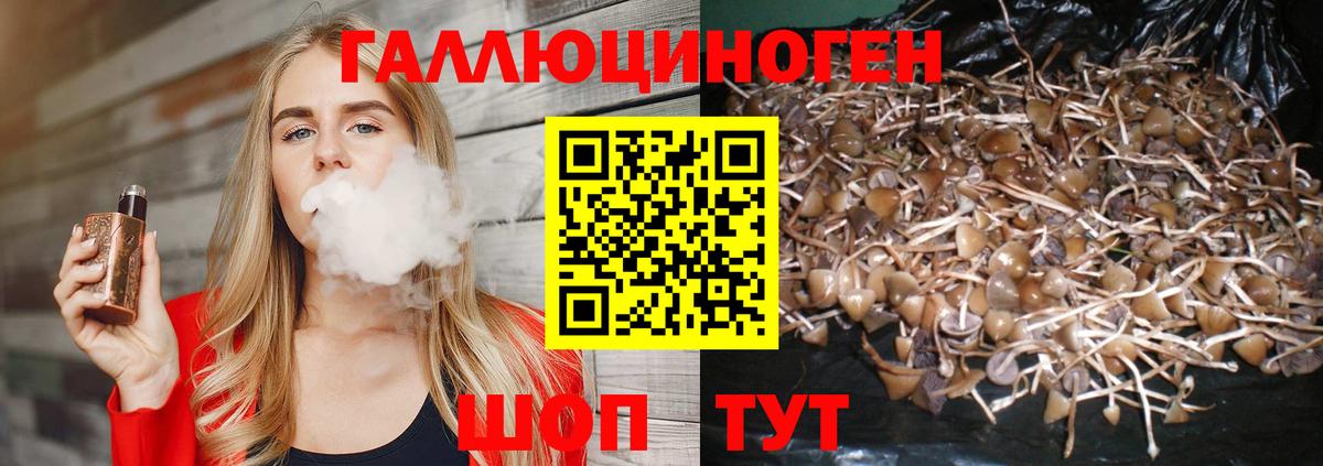 Псилоцибиновые грибы Cubensis  Псилоцибиновые грибы GOLDEN TEACHER  Ноябрьск  Вход с VPN 